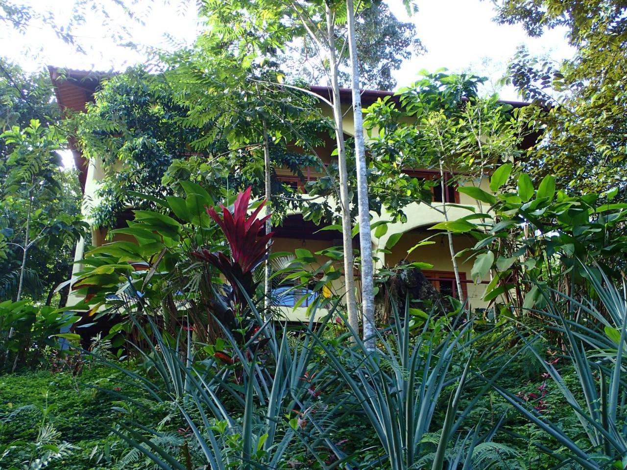Morrillo Beach Eco Resort Bagian luar foto