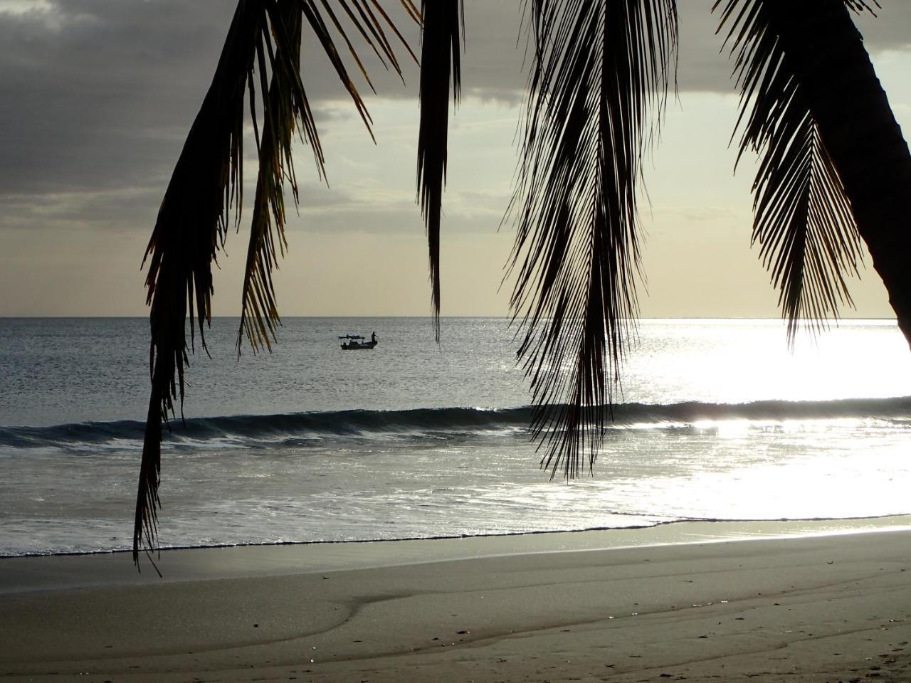Morrillo Beach Eco Resort Bagian luar foto