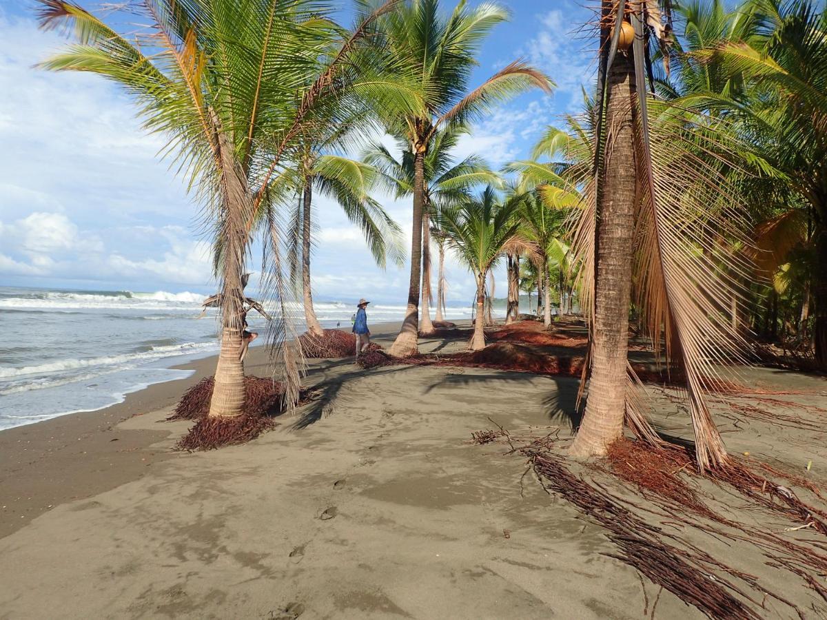 Morrillo Beach Eco Resort Bagian luar foto