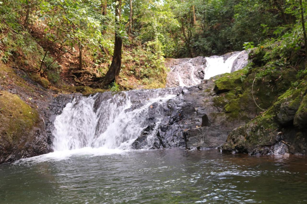 Morrillo Beach Eco Resort Bagian luar foto