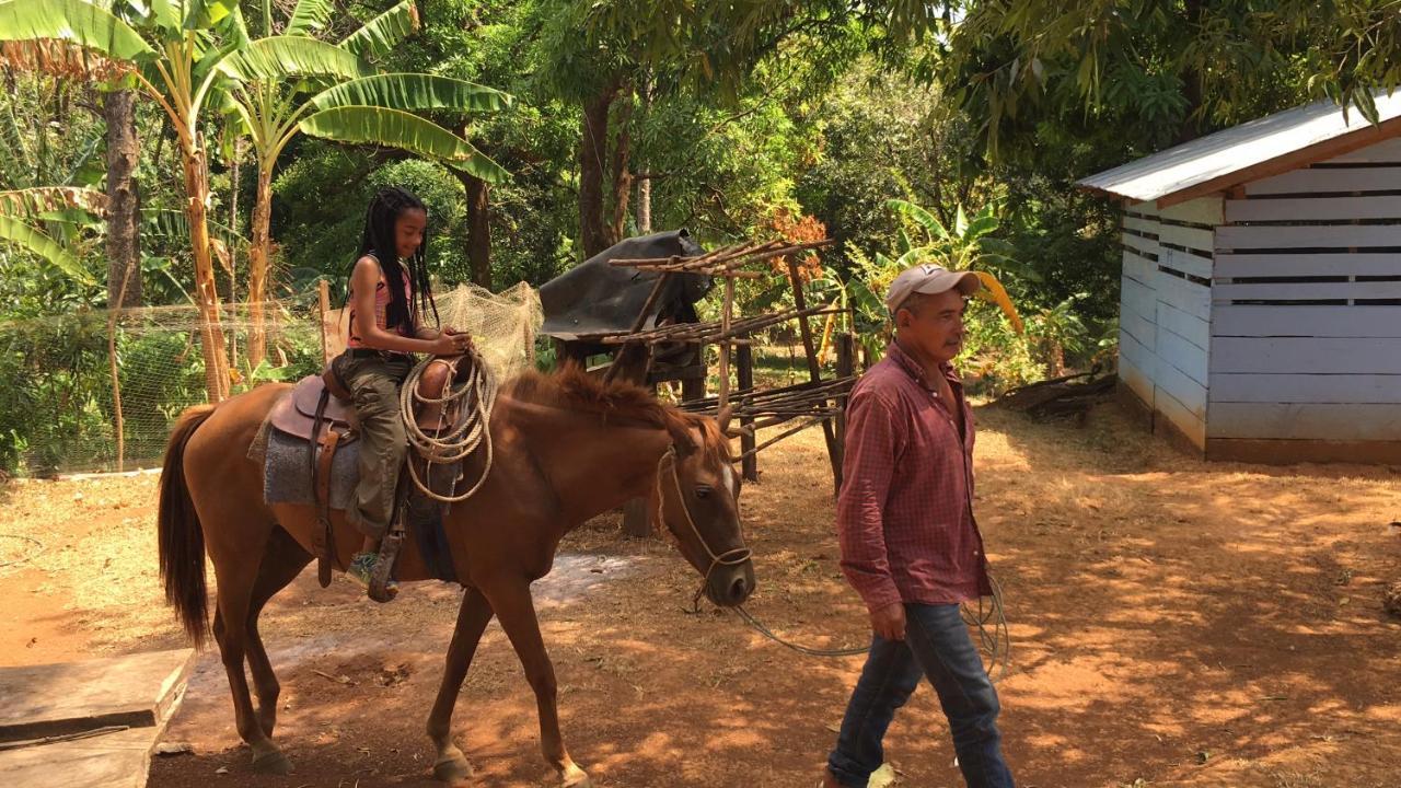 Morrillo Beach Eco Resort Bagian luar foto